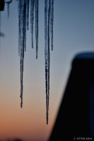 /album/photo-gallery-silhouette/%e6%98%a5%e3%81%ae%e5%9b%81%e3%81%8d%e3%80%80%ef%bd%9e%e5%a4%95%e7%84%bc%e3%81%91%e3%81%ae%e6%b0%b7%e6%9f%b1%ef%bd%9e-jpg/